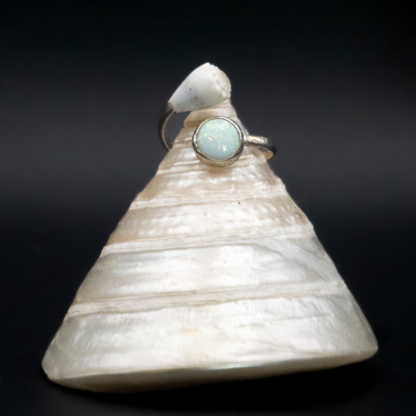 Hawaiian Cone Shell and Opal Bypass Ring | Hammered Sterling Silver | Size 7.5