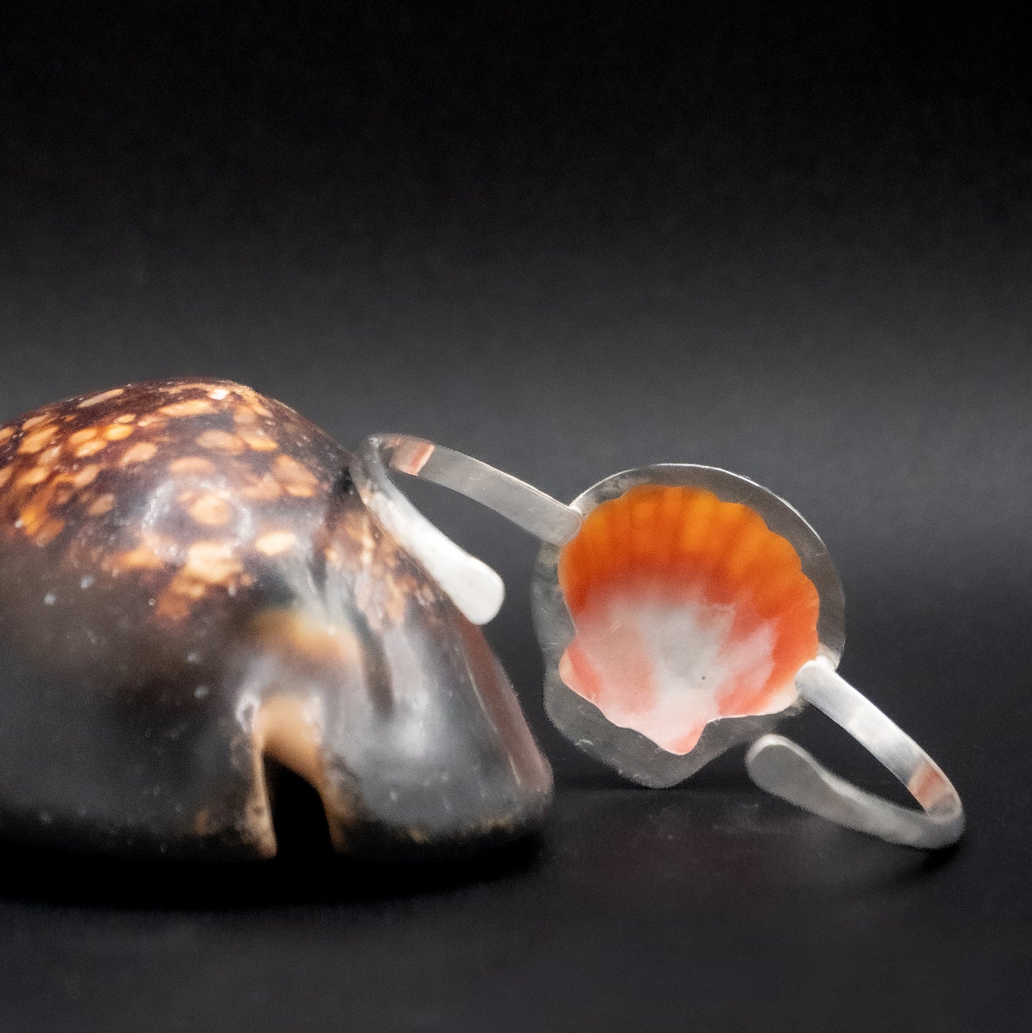 Sunrise Shell Cuff | Hammered Sterling Silver | Up to 6.5” Wrist