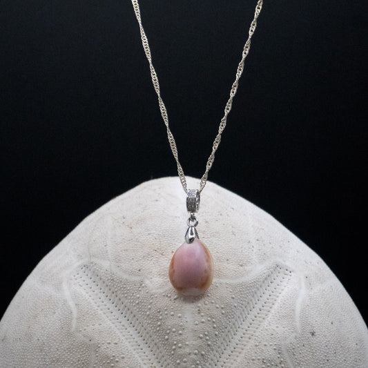 Hawaiian Honey Cowrie Shell Necklace | 17" Chain